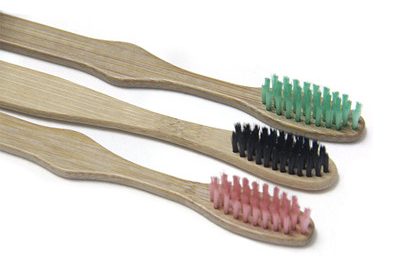 bamboo400