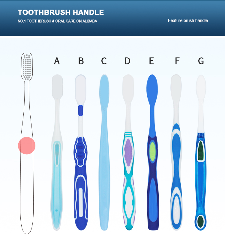 Introduce the material of toothbrush bristles and toothbrush handle