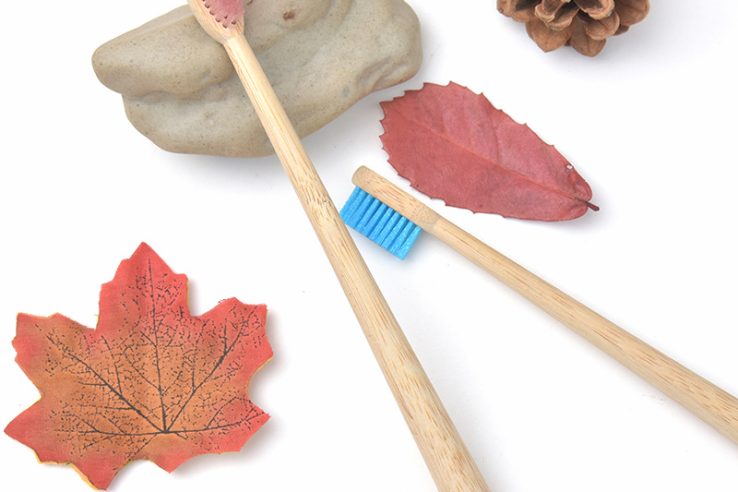 bamboo toothbrush (5)
