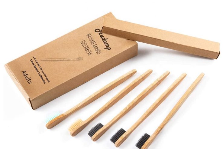 Natural organic degradable eco bamboo toothbrush (1)